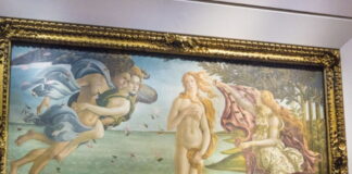 Simonetta Vespucci, Venere di Botticelli, potrebbe essere morta per un tumore ipofisario