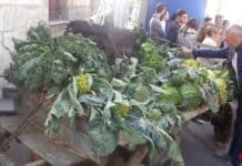 Margarita: 21ª Sagra d’l Coj, tre giorni di festa e sapori fino al 25 ottobre