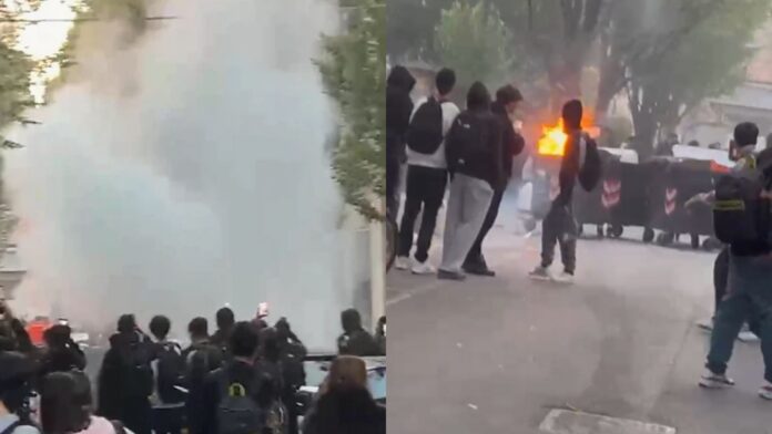 Incendio-Veronetta-cassonetto.jpg