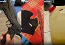 Verona: 15 perquisizioni della Polizia, sequestrati machete, pistola softair e benzina