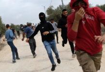 Taybeh, Cisgiordania: coloni aggrediscono diplomatici europei, auto belga danneggiata