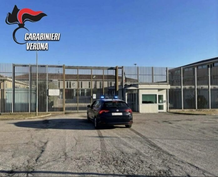 arresti-bassa.jpeg