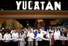 Yucatán: ameba ‘mangia-cervello’ trovata in sei laghi, specchi d’acqua chiusi