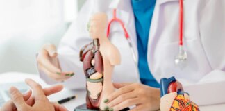 Italia, Grimaldi (Anmco): Scompenso è un’epidemia, serve continuità ospedale-territorio