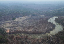 Brasile: deforestazione in Amazzonia ai minimi dal 1988, perse 3.335 kmq