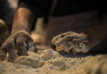 Ue, Kallas: prezzi dei cereali ai livelli del 2022 e tempesta perfetta