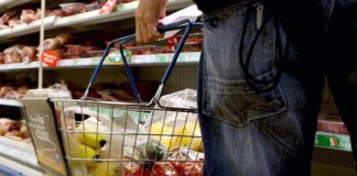 Insalata e affettati: guida per pasti veloci, conservazione e rischio Listeria