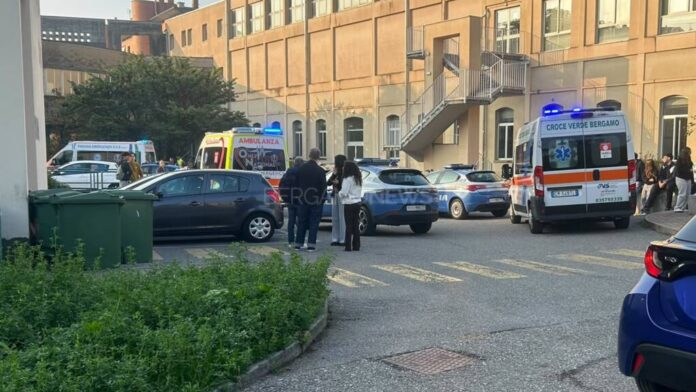 liceo-mascheroni-peperoncino-bergamo-scuola-843054.jpg