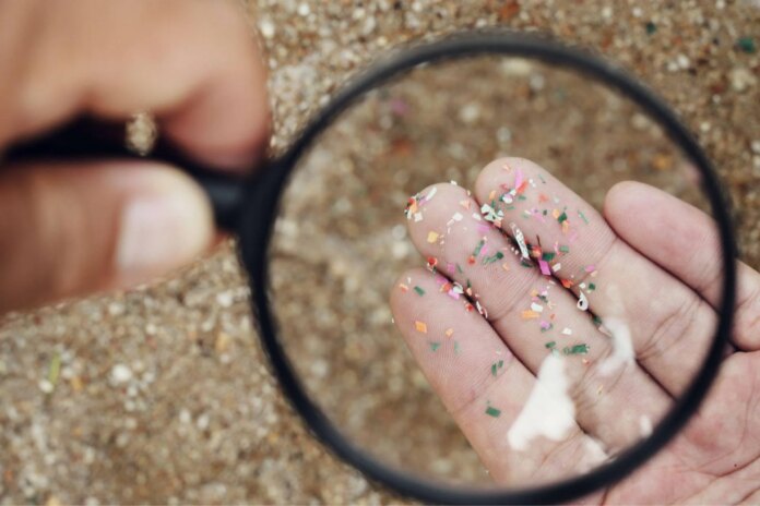 microplastiche_viste_alla_lente_di_ingrandimento.jpeg