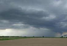 Verona, allerta gialla per vento forte: scirocco e maltempo fino al 21 ottobre