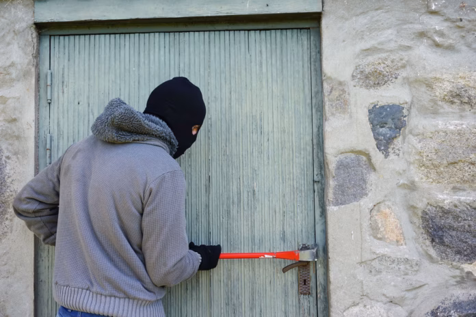 thedigitalway-thief-1562699.avif